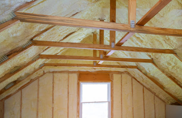 Best Specialized Insulation Services in Baldwin, MI