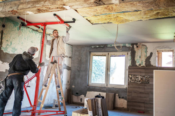 Best Residential Insulation in Baldwin, MI