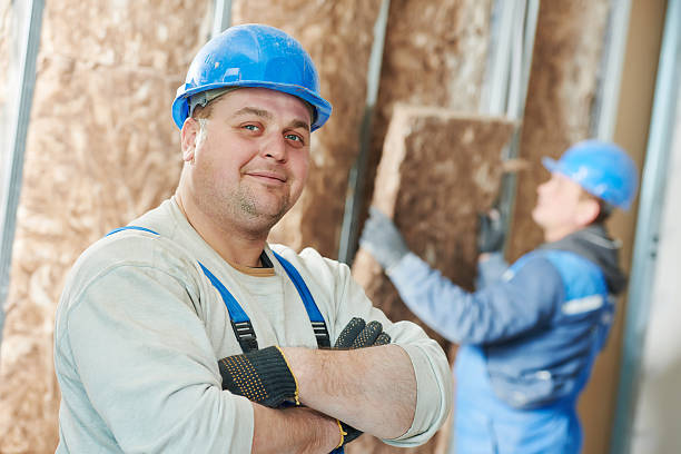 Best Insulation Maintenance and Repair in Baldwin, MI