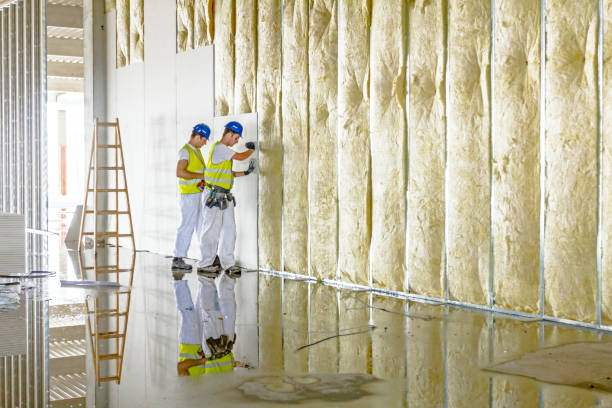 Best Energy Efficiency Insulation in Baldwin, MI
